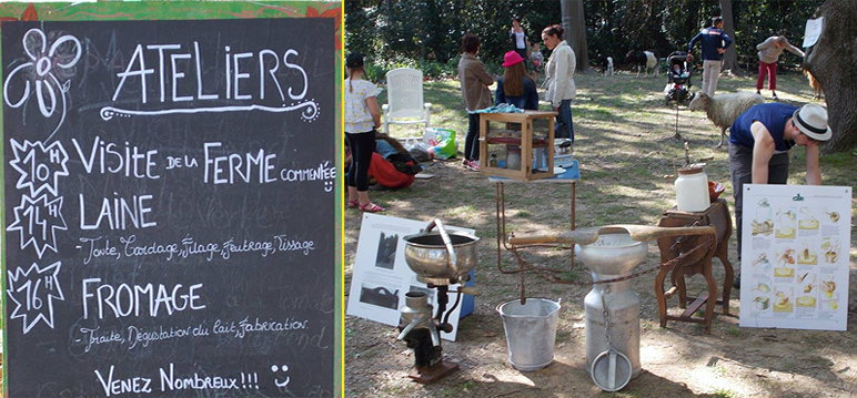 Double image : Programme et Préparation