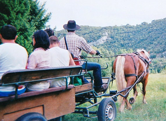 promenade en calèche