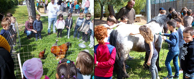 parc animalier et enfants en extérieur